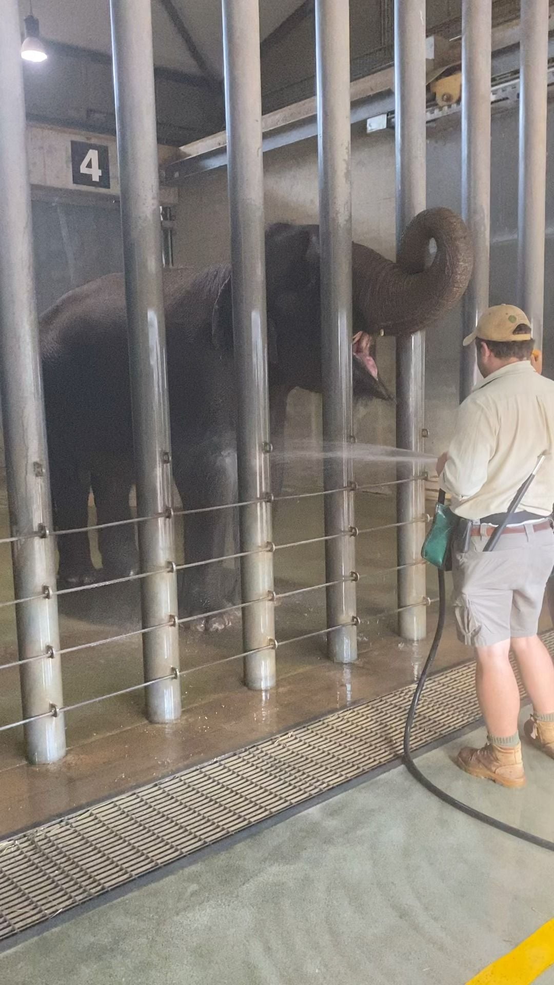 Dubbo Zoo 2025 Image -67de04b2b03bf